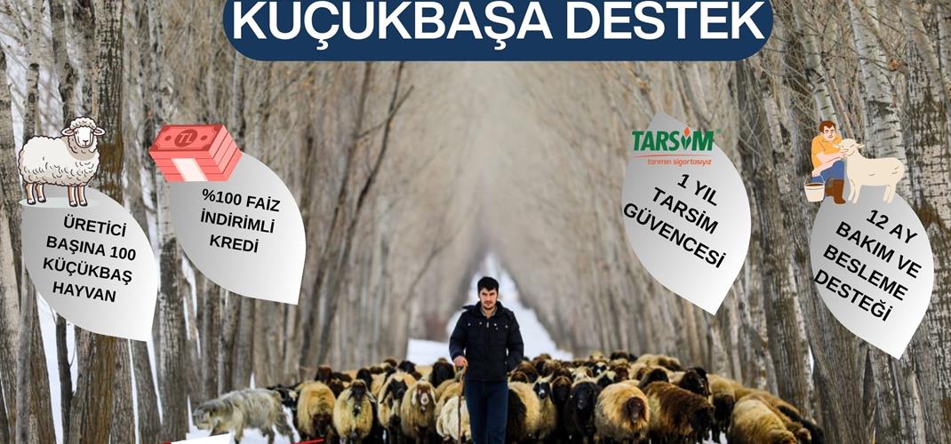 KIRSALDA BEREKET KÜÇÜKBAŞA DESTEK PROJESİ BAŞLADI.