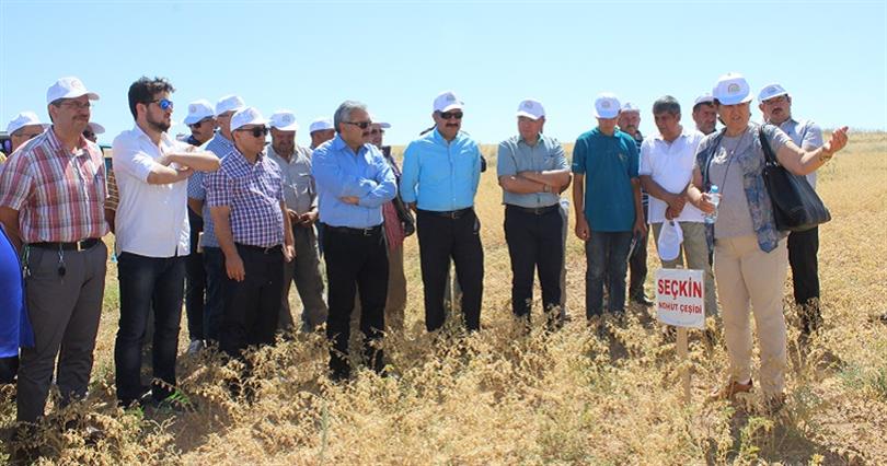 karaman il tarim ve orman mudurlugu